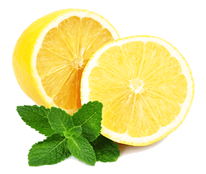 lemon with mint leaves
