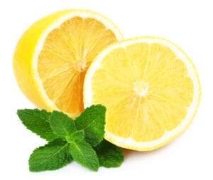 sliced lemon and mint leaf