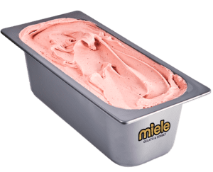 5 quart metal container of gelato
